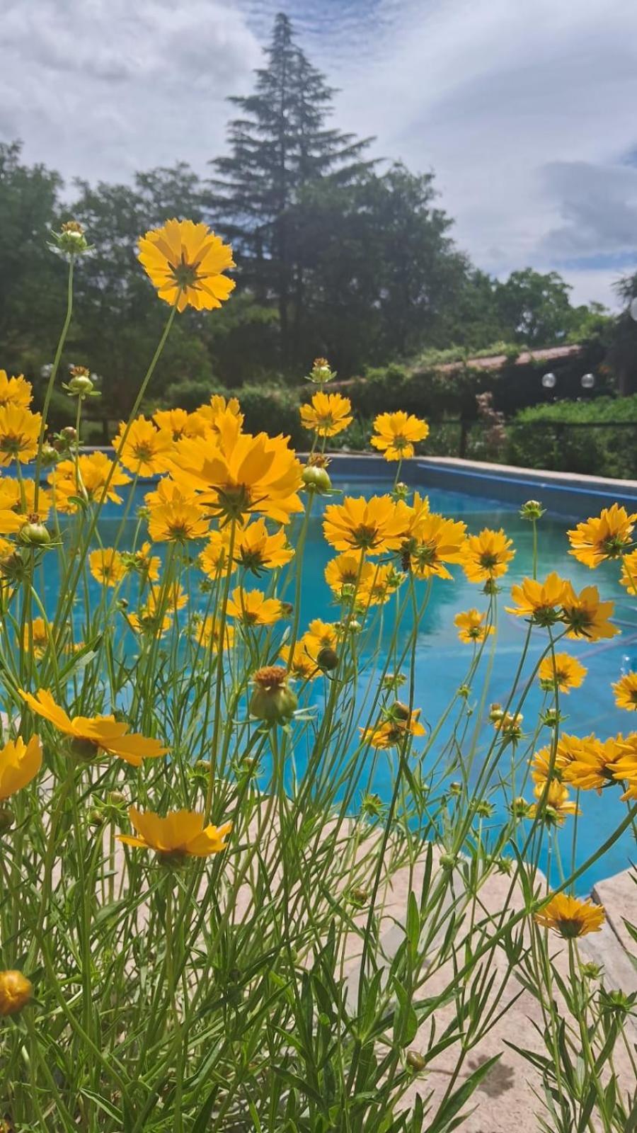 Hosteria Pastoral & Spa La Cumbre Kültér fotó
